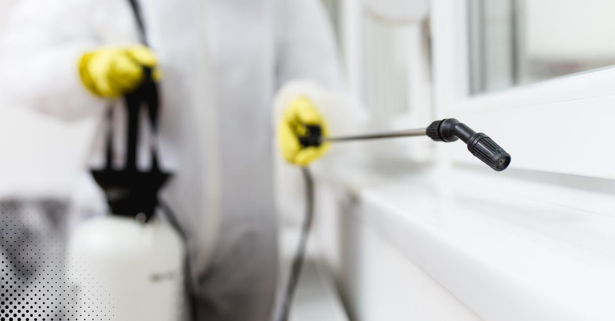 Professional pest control specialist spraying pesticide indoors near a window.