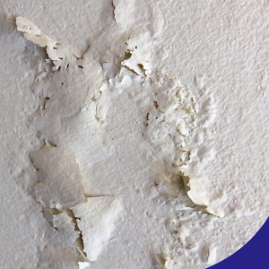 Blistering wall paint from hidden moisture damage