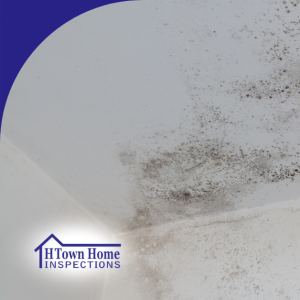 Mold growth on the ceiling of a home.